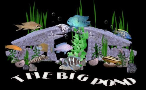 The Big Pond's logo